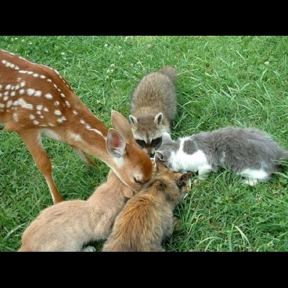 SHARE!  SHARE!  SHARE! - Picture 5 of 7